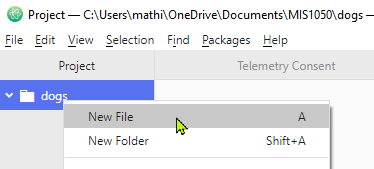 Making a file